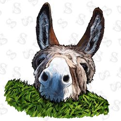 highland cow with sunflowers png sublimation desig