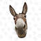 Cute Donkey Png Sublimation Design,Donkey Png,Hand Drawn Donkey Png, Donkey Head Png, Barnyard Animals,Cute Donkey Png,Instant Download - 1.jpg