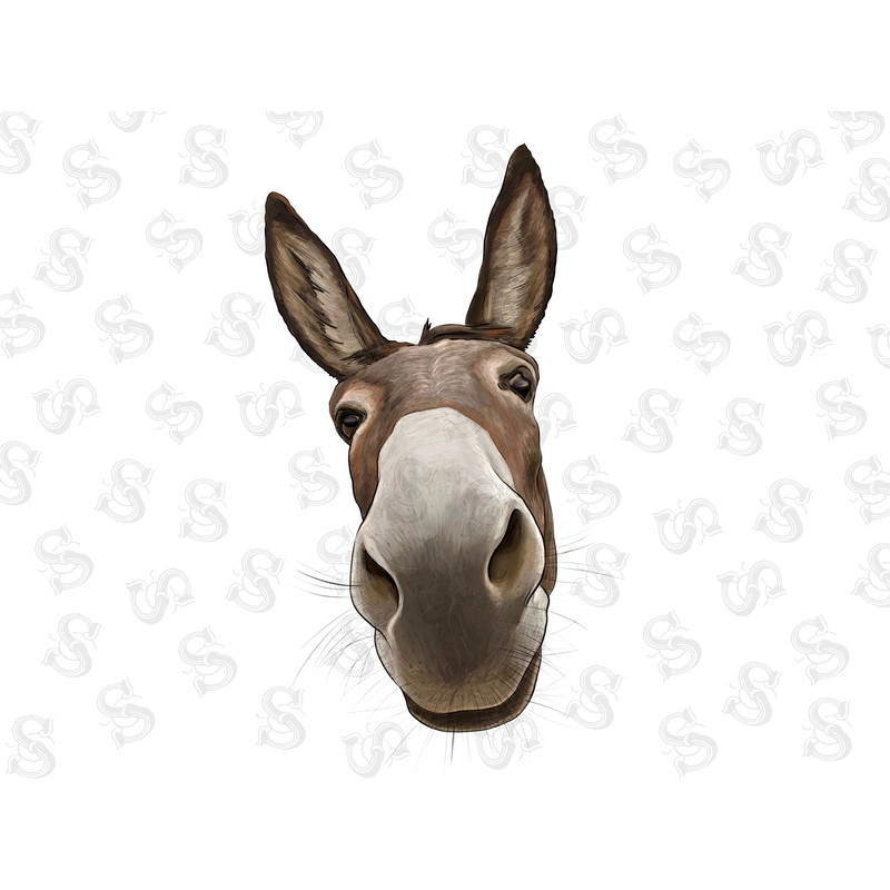Cute Donkey Png Sublimation Design,Donkey Png,Hand Drawn Donkey Png, Donkey Head Png, Barnyard Animals,Cute Donkey Png,Instant Download - 1.jpg