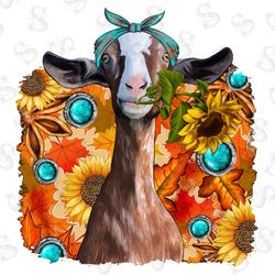 cute donkey with glasses png sublimation design,an