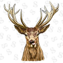 cowhide turquoise glitter leopard western backgrou