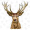 Deer Portrait Png Sublimation Design,Hand Drawn Deer Png,Western Deer Png,Deer Png,Deer Clipart Png,Png Sublimation Design,Instant Download - 1.jpg
