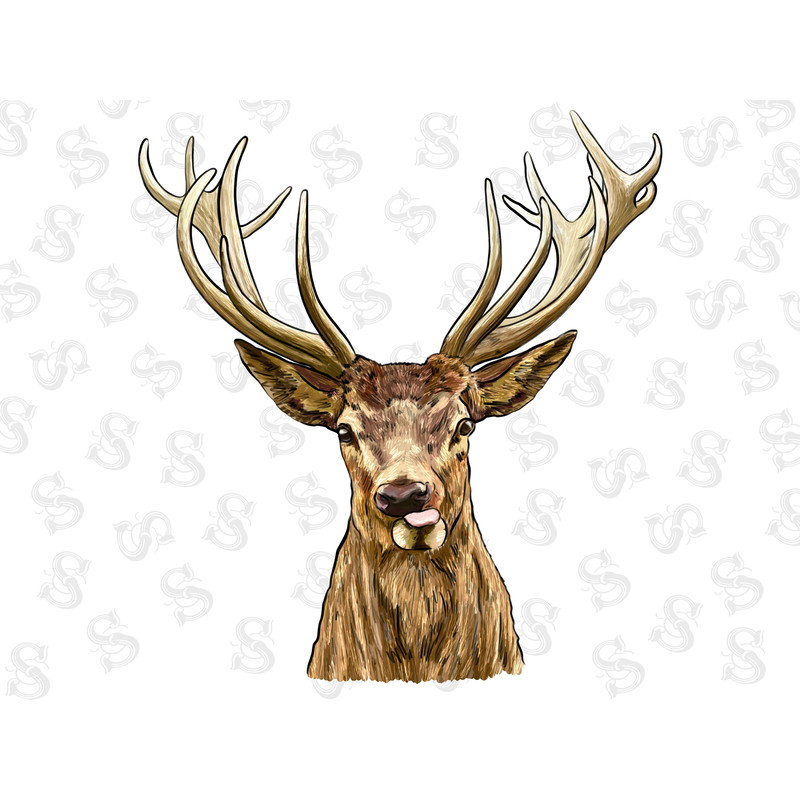 Deer Portrait Png Sublimation Design,Hand Drawn Deer Png,Western Deer Png,Deer Png,Deer Clipart Png,Png Sublimation Design,Instant Download - 1.jpg