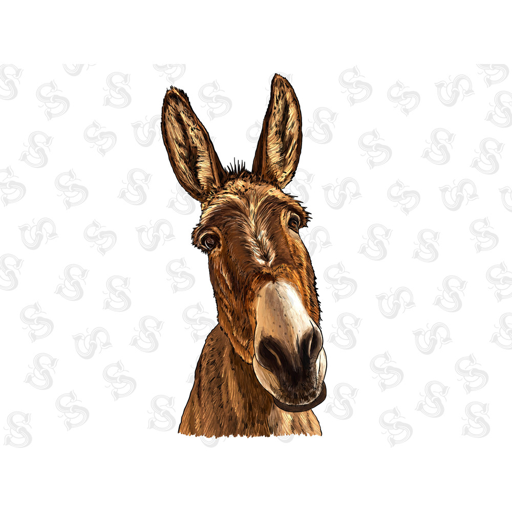 Donkey Png Sublimation Design, Funny Farm Animal Clipart, Peeking Head Face, Funny Donkey Png, Watercolor Donkey Png, Farm Donkey Png - 1.jpg