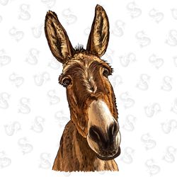 field day let the games begin png, field day png,