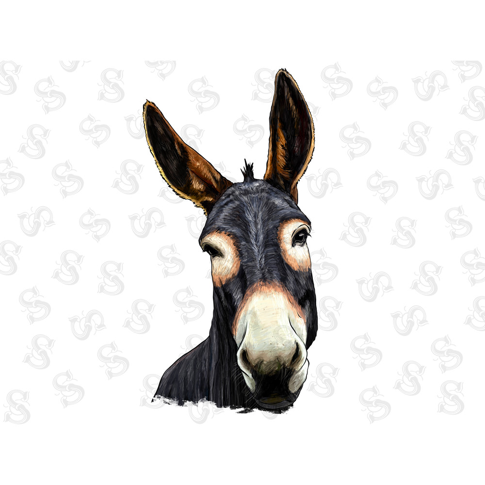 Donkey Png Sublimation Design,Donkey Png,Hand Drawn Donkey Png,Donkey Head Png, Barnyard Animals Png Downloads,Instant Download,PNG DONKEY - 1.jpg