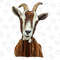 Fainting Goat Png Sublimation Design,Fainting Goat Png,Animals Goat Png, Fainting Png,Download,Western Animals Png,Goat Png,Digital Download - 1.jpg