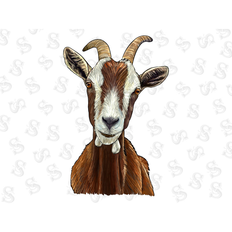 Fainting Goat Png Sublimation Design,Fainting Goat Png,Animals Goat Png, Fainting Png,Download,Western Animals Png,Goat Png,Digital Download - 1.jpg