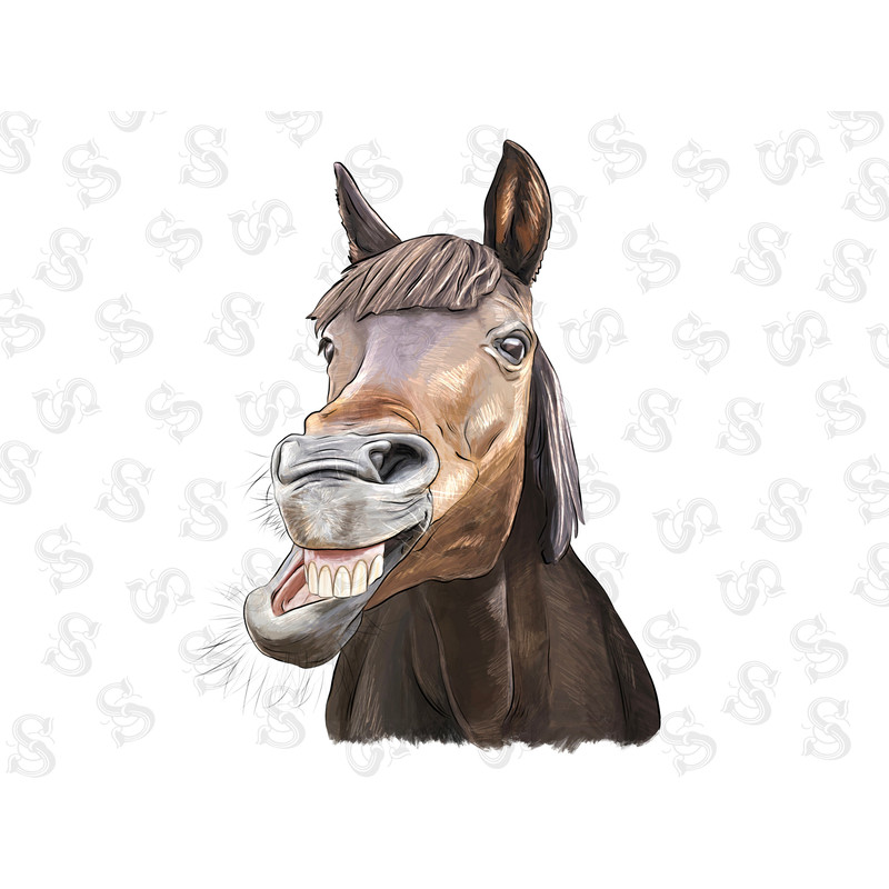 Funny Face Horse Png Sublimation Design,Funny Horse Png,Animals Horse Png,Funny FaceHorse Png,Western Design Png,PNG,Digital Download - 1.jpg
