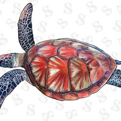 western highland cow  with sunflower bouquet subli