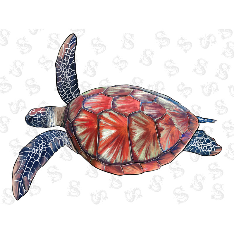 Hand Drawn Tie Dye Turtle Png Sublimation Design, Turtle Png, Sea Animal Png, Turtle Clipart Png,Turtle Background Png Digital Downloads - 1.jpg