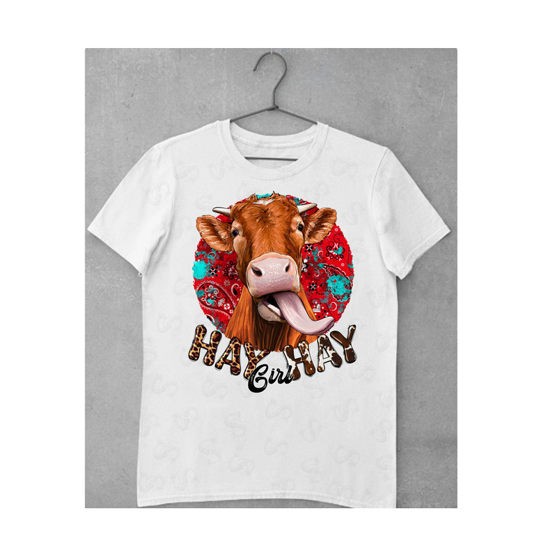 Hay Girl Hay Png, Western, Girl Png, Cow Png, Cowhide, Leopard, Sublimation Design, Digital File, Country Girl, Sublimation Design - 2.jpg
