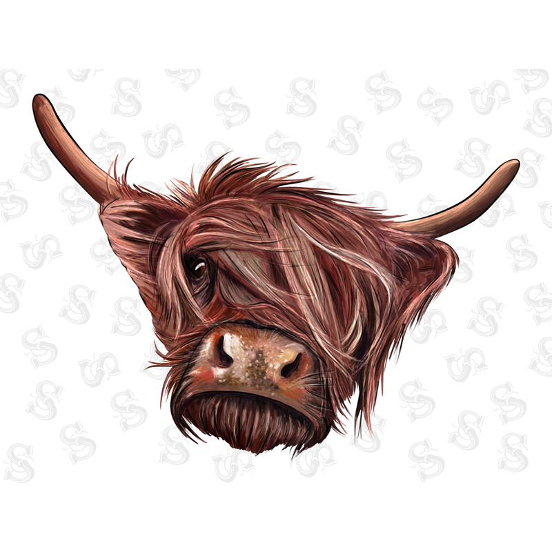 Highland Cow PNG, Files for Sublimation, Highland cow Png, Highland Cow Tongue Out, Cow Png, Farm Cow png, highland Cow Shirt, Cow shirt jpg - 1.jpg