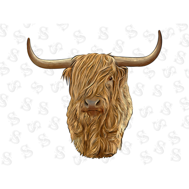 Highland Cow PNG, Files for Sublimation, Highland cow Png, Highland Cow Tongue Out, Cow Png, Farm Cow png, highland Cow Shirt, Cow shirt jpg - 1.jpg