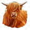 Highland Cow PNG, Files for Sublimation, Highland cow Png, Highland Cow Tongue Out, Cow Png, Farm Cow png, highland Cow Shirt, Cow shirt jpg - 1.jpg
