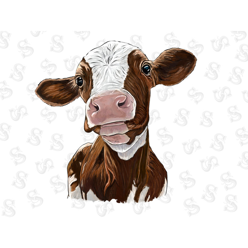 Holstein Calf Png Sublimation Design,Holstein Western,Animals Png, Holstein Png, Cute Holstein Portrait Png, Holstein Calf, Digital Download - 1.jpg