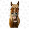 Horse Png Sublimation Design, Funny Farm Animal Clipart, Hand Drawn Horse Png,Funny Horse Png,Watercolor Horse Png,Farm Horse Png,Horse Face - 1.jpg