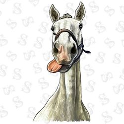 western bull skull cactus sunflower png sublimatio