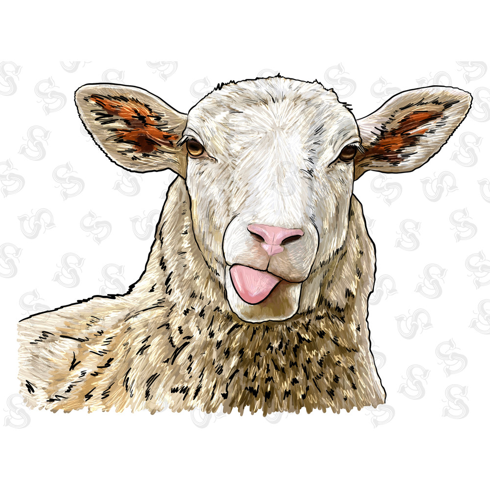 Katahdin Sheep Png, Hand Drawn Katahdin Ram Png, Sheep Png, Ram Png,Sheep Sublimation Design,Katahdin Ram Png, Ram Clipart, Digital Download - 1.jpg