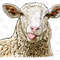 Katahdin Sheep Png, Hand Drawn Katahdin Ram Png, Sheep Png, Ram Png,Sheep Sublimation Design,Katahdin Ram Png, Ram Clipart, Digital Download - 1.jpg