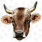 Limousin Cattle Png Sublimation Design,Limousin Cattle Png,Cattle Png,Limousin Cattle Png,Western Png,Animals Png,PNG,Digital Download - 1.jpg