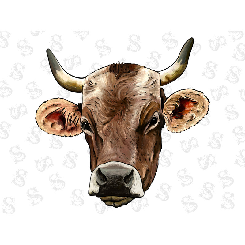 Limousin Cattle Png Sublimation Design,Limousin Cattle Png,Cattle Png,Limousin Cattle Png,Western Png,Animals Png,PNG,Digital Download - 1.jpg