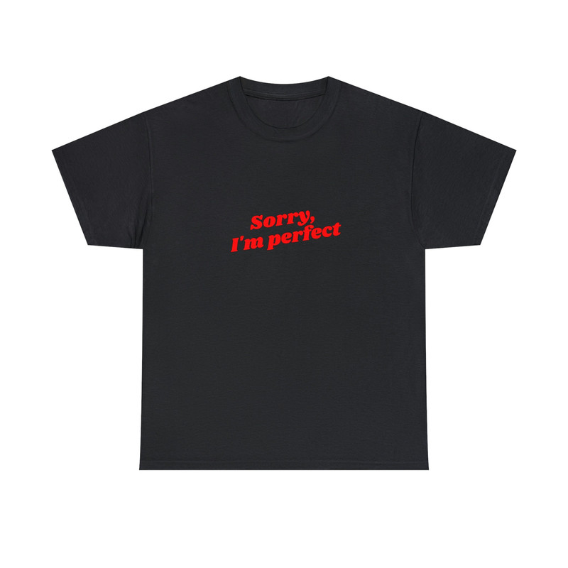 Sorry I'm Perfect - Unisex T-Shirt, Funny Shirt, Y2K Style, 2000s Style, Funny Sayings Pinterest Tee - 2.jpg
