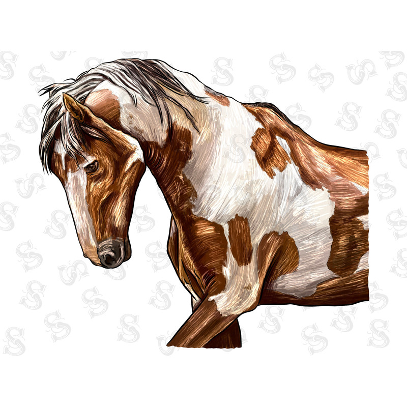 Mustang Horse Face Png, Horse Png, Horse Sublimation Design, Hand Drawn Mustang Horse Png, Mustang Horse Portrait Png Downloads - 1.jpg