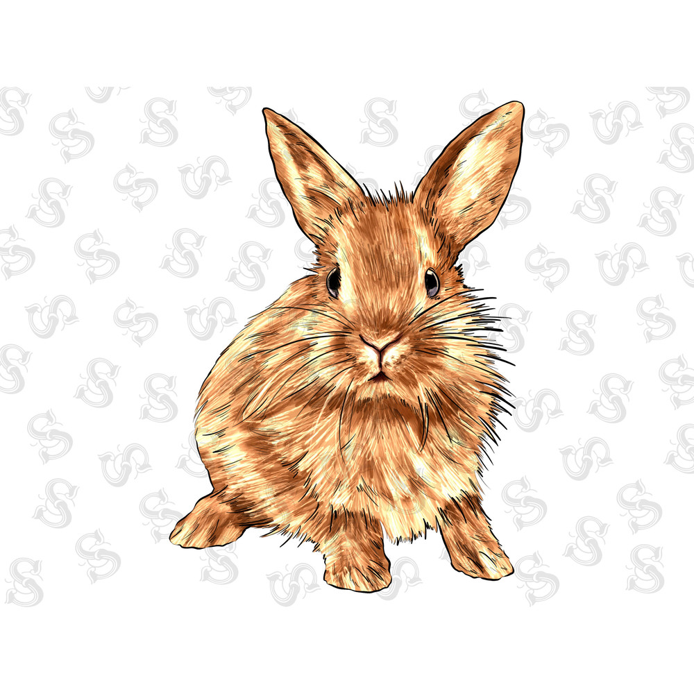 Rabbit Illustrations Png Sublimation Design,Rabbit Sublimation Png,Printable Rabbit Png Image For Wall Art,Decoration,Scrapbooks,Crafts png - 1.jpg