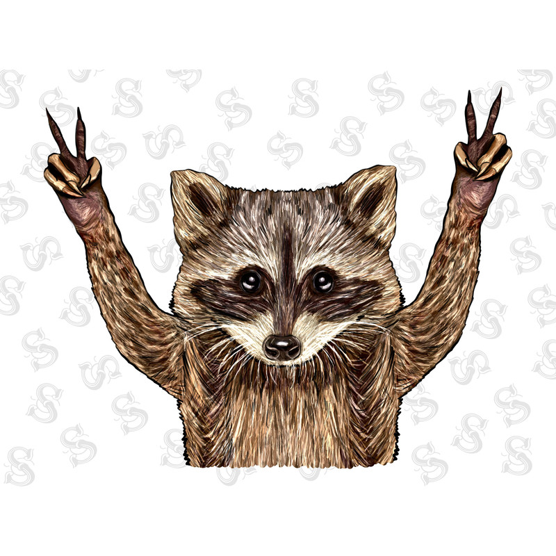 Raccoon Illustrations Png Digital Download, Raccoon Sublimation Png, Printable Raccoon Png Image For Wall Art,Decoration,Craft,Scrapbook - 1.jpg