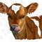 Simmental Calf Png Sublimation Design,Simmental Calf Png,Simmental Png,Calf Png Png,Animals Png,Simmental Calf Png Animals,Digital Download - 1.jpg