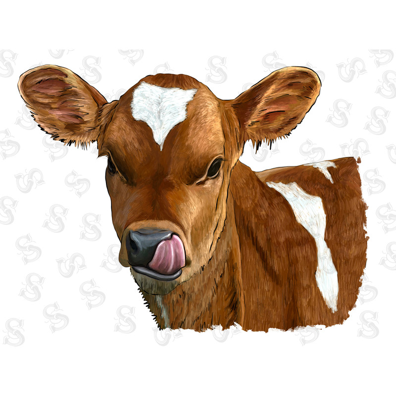 Simmental Calf Png Sublimation Design,Simmental Calf Png,Simmental Png,Calf Png Png,Animals Png,Simmental Calf Png Animals,Digital Download - 1.jpg