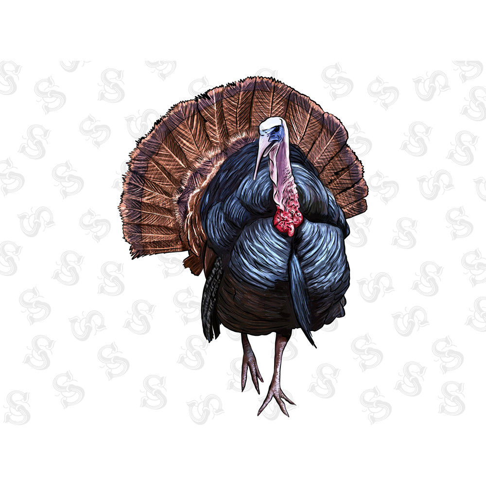 Thanksgiving Turkey Png, Thanksgiving Png, Thanksgiving Clipart, Turkey Png, Turkey Clipart,Png Sublimation Design Download,Instant Download - 1.jpg