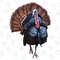 Thanksgiving Turkey Png, Thanksgiving Png, Thanksgiving Clipart, Turkey Png, Turkey Clipart,Png Sublimation Design Download,Instant Download - 1.jpg