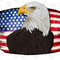 Western American Flag Eagle Png Sublimation Design,American Eagle Png, 4th Of July Png, American White Eagle Png, Eagle Png,Digital Download - 1.jpg