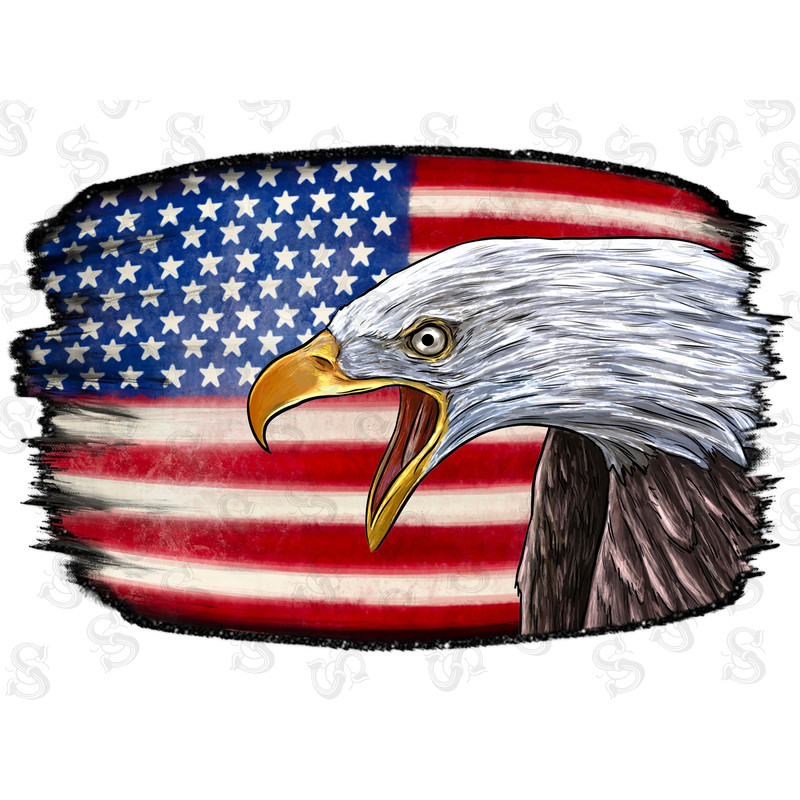 Western American Flag Eagle Png Sublimation Design,American Eagle Png, 4th Of July Png, American White Eagle Png, Eagle Png,Digital Download - 1.jpg