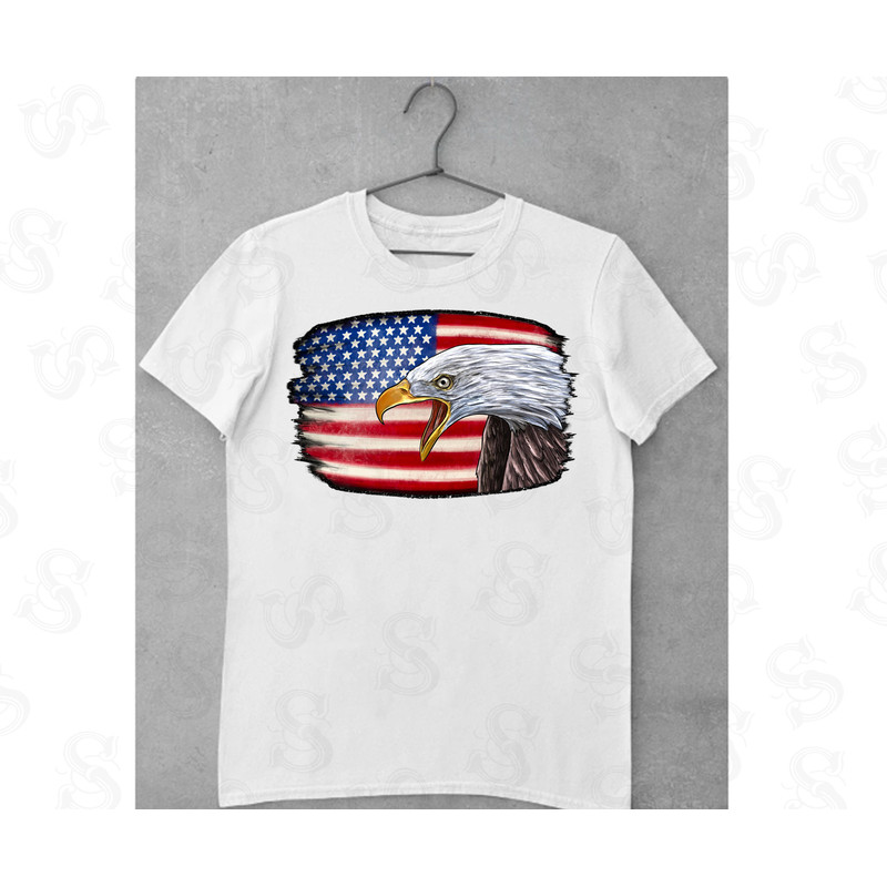Western American Flag Eagle Png Sublimation Design,American Eagle Png, 4th Of July Png, American White Eagle Png, Eagle Png,Digital Download - 2.jpg