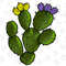 Western Cactus Png Sublimation Design,Floral Cactus,Flowers Png,Western Cactus Png,Western Cactus Png,Western Png,Cactus,Instant Download - 1.jpg