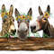 Western Donkey Png Sublimation Design,Western Png,Animals Png,Donkey Png,Western Animals Donkey,Love Donkey Png,Sunflower,Instant Download - 1.jpg