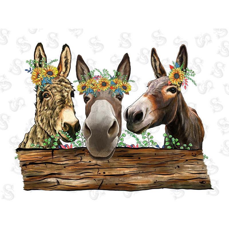 Western Donkey Png Sublimation Design,Western Png,Animals Png,Donkey Png,Western Animals Donkey,Love Donkey Png,Sunflower,Instant Download - 1.jpg