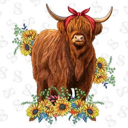 western highland calf with sunflower bouquet subli