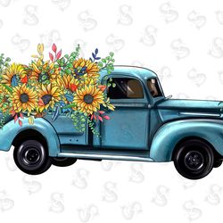 tortoise illustrations png digital download, turtl