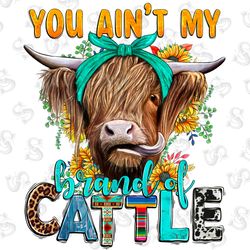 rabbit illustrations png digital download,decorati