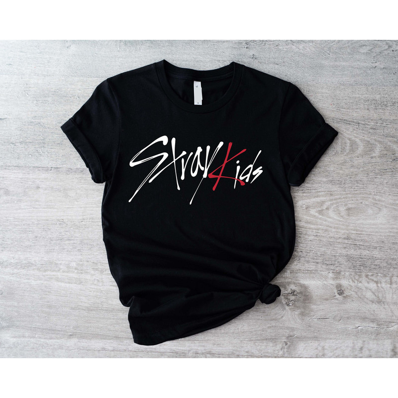 Stray Kids Kpop Shirt, Korean Pop Tshirt, Stray Kids Kpop Merch, Stray Band Lover, The Reason K-pop Shirts, SKZ Stay Fandom Fan Made T-shirt - 1.jpg