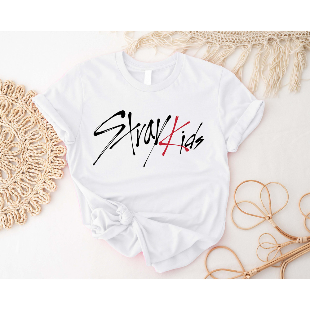 Stray Kids Kpop Shirt, Korean Pop Tshirt, Stray Kids Kpop Merch, Stray Band Lover, The Reason K-pop Shirts, SKZ Stay Fandom Fan Made T-shirt - 2.jpg