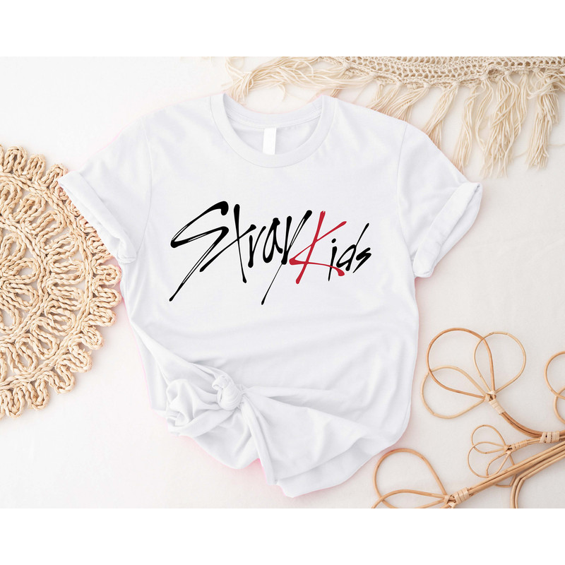 Stray Kids Kpop Shirt, Korean Pop Tshirt, Stray Kids Kpop Merch, Stray Band Lover, The Reason K-pop Shirts, SKZ Stay Fandom Fan Made T-shirt - 2.jpg