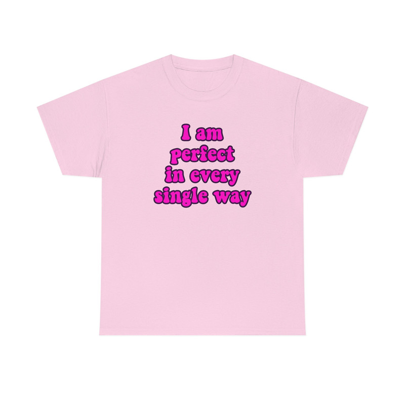 Funny Y2K Meme TShirt - I am Perfect in Every Single Way 2000's Celebrity Inspired Tee - Gift Shirt - 1.jpg