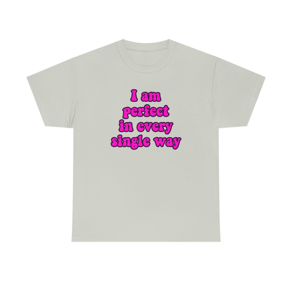 Funny Y2K Meme TShirt - I am Perfect in Every Single Way 2000's Celebrity Inspired Tee - Gift Shirt - 5.jpg