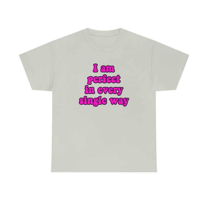 Funny Y2K Meme TShirt - I am Perfect in Every Single Way 2000's Celebrity Inspired Tee - Gift Shirt - 5.jpg