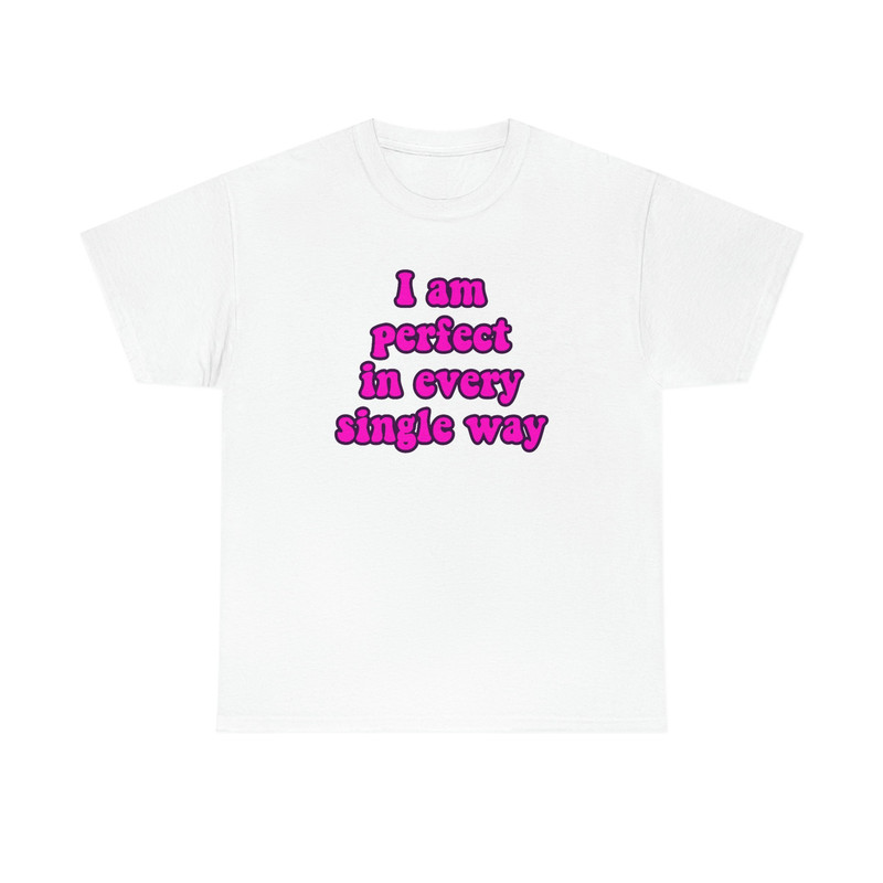 Funny Y2K Meme TShirt - I am Perfect in Every Single Way 2000's Celebrity Inspired Tee - Gift Shirt - 9.jpg